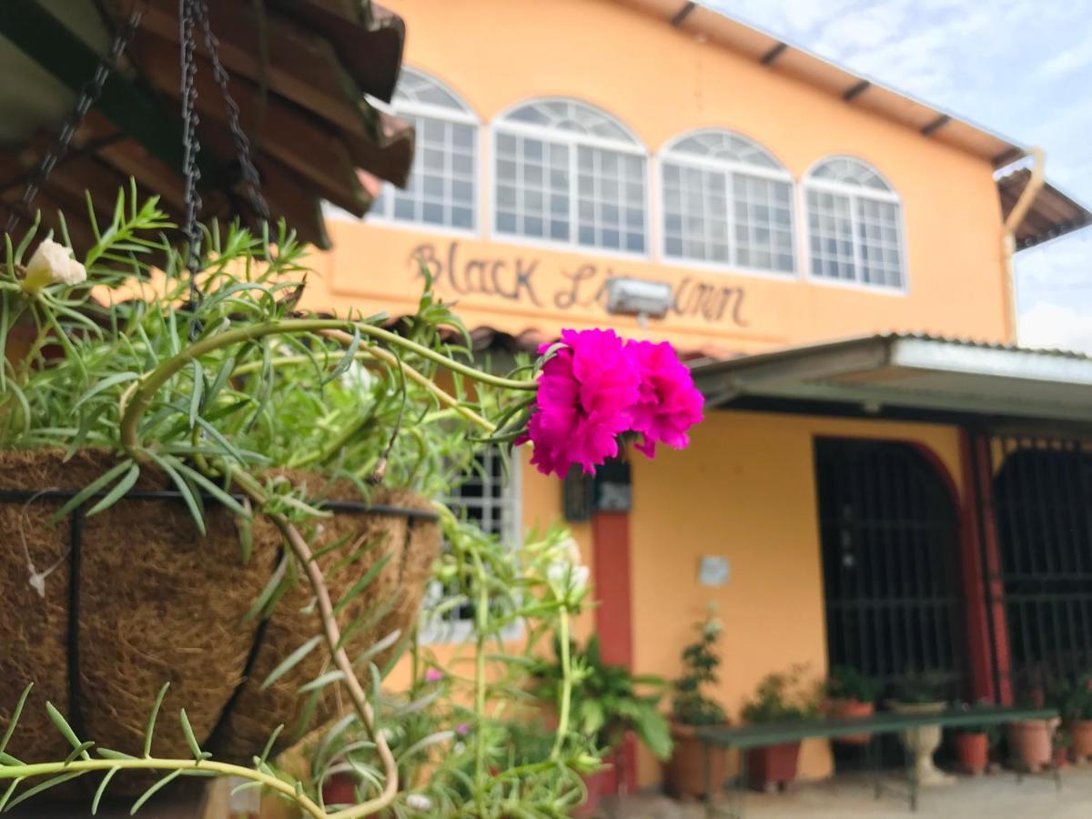 סנטיאגו Black Lion Inn מראה חיצוני תמונה